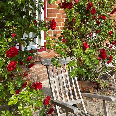 Gut Petersdorf - Ideal Für Familien Und Hunde - Mit Kamin, Parkblick, Terrasse, Eingezäuntem Garten Und E-ladestation *