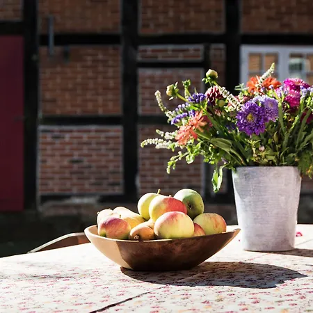 Gut Petersdorf - Ideal Fuer Familien Und Hunde - Mit Kamin, Parkblick, Terrasse, Eingezaeuntem Garten Und E-ladestation Apartament *