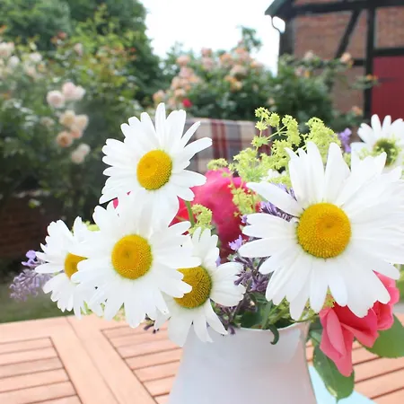 Apartmán Gut Petersdorf - Ideal Fuer Familien Und Hunde - Mit Kamin, Parkblick, Terrasse Und Eingezaeuntem Garten *